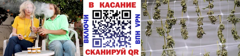Каннабис Губкин