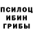 Галлюциногенные грибы Magic Shrooms Capibara