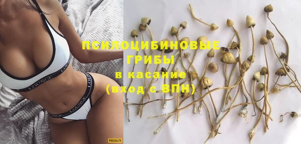 ECSTASY Алексин