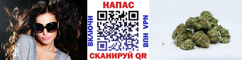 Бошки Шишки ГИДРОПОН  где найти наркотики  Губкин 