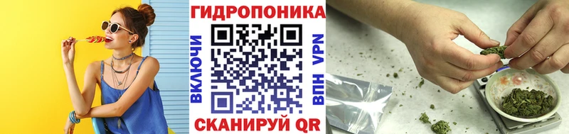 Марихуана сатива Губкин